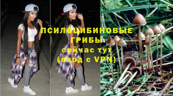 дживик Алзамай