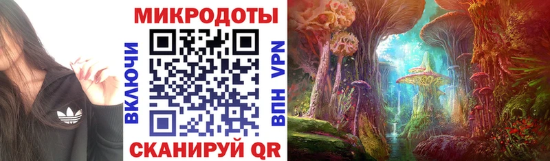 Псилоцибиновые грибы прущие грибы как найти наркотики мориарти телеграм Черкесск