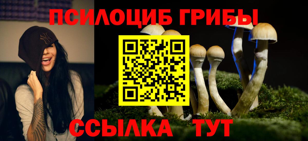 Черкесск  Псилоцибиновые грибы Psilocybe  Вход с VPN 